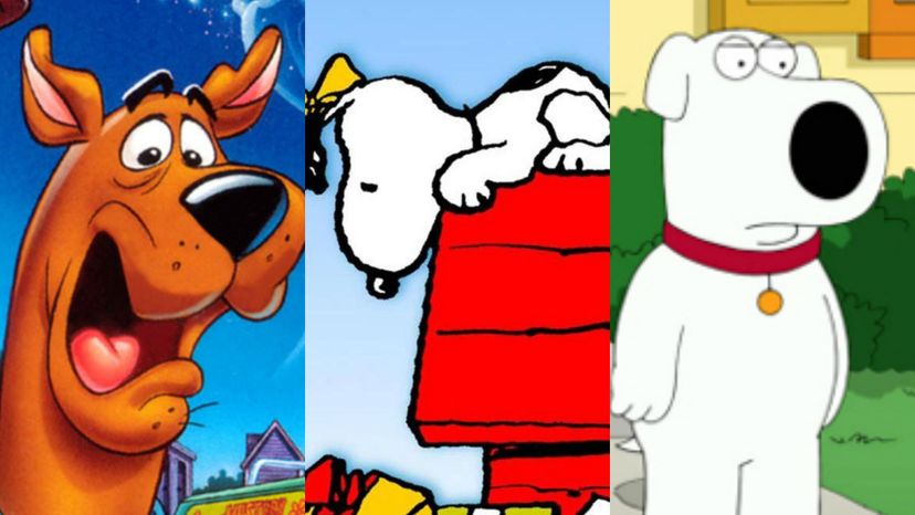 Which Famous TV Dog Are You?