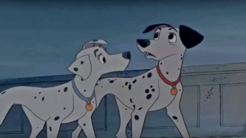 what kind of dog is kipper in 101 dalmatians