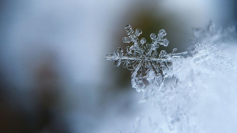3 winter