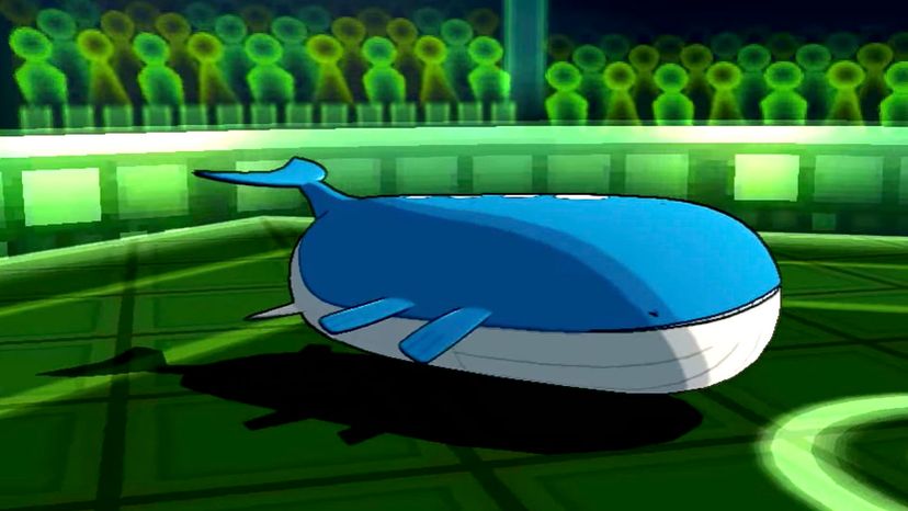 Wailord