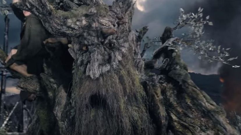 Treebeard