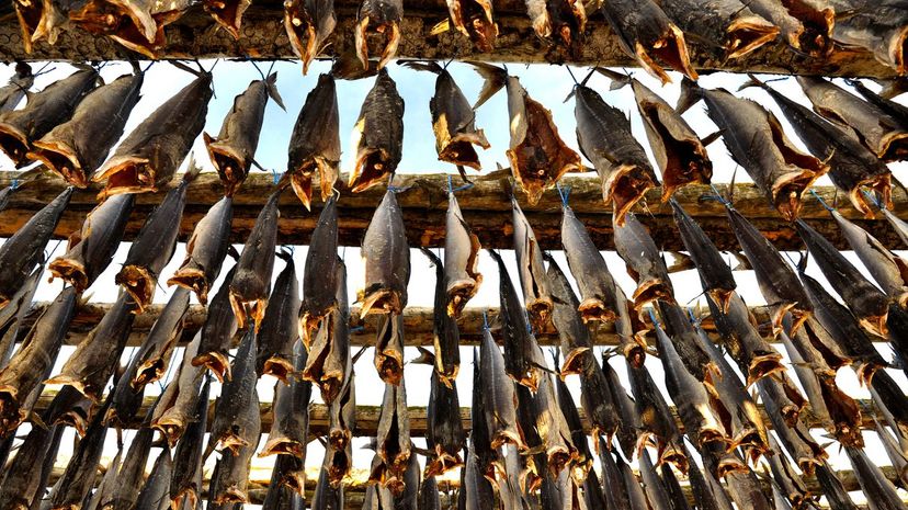 26 Drying Fish