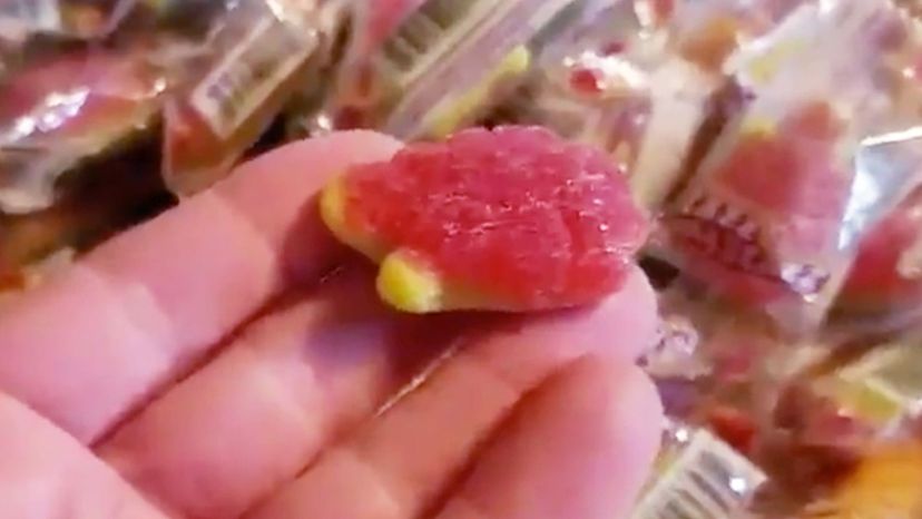 Jelly-Filled Gummy Turtles