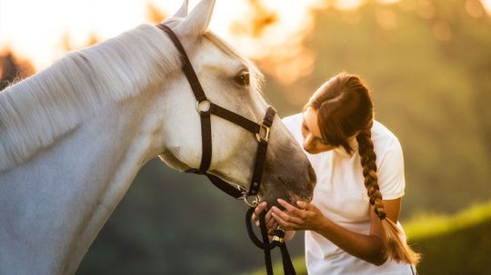 What Kind of Horse Lover Are You?