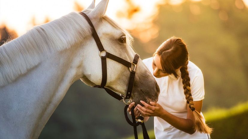 What Kind of Horse Lover Are You?
