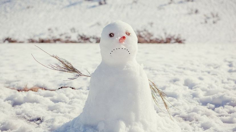 10 snowman nose