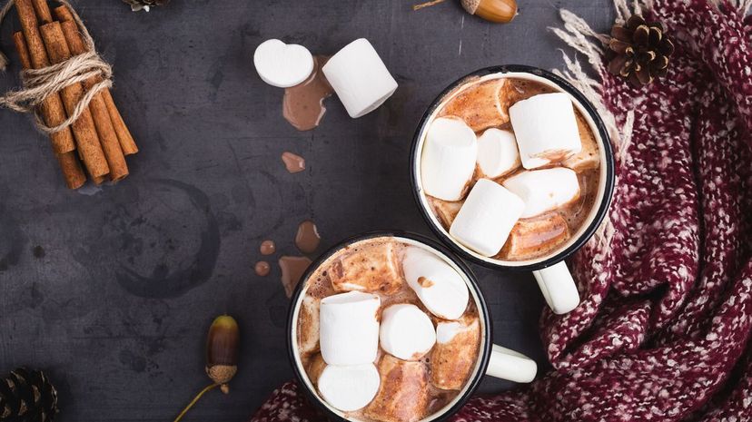 Hot Chocolate with Marshmellows