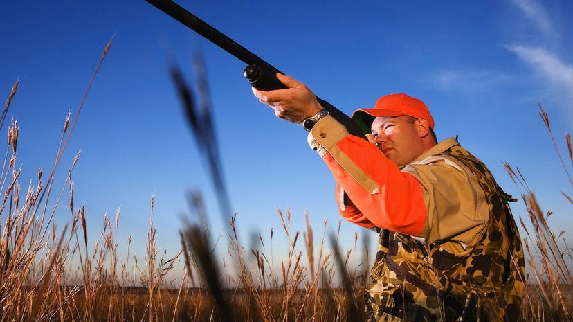 Go on a Hunting Trip and We'll Guess How High You’d Rank in the Military