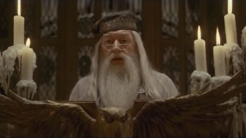Albus Dumbledore21