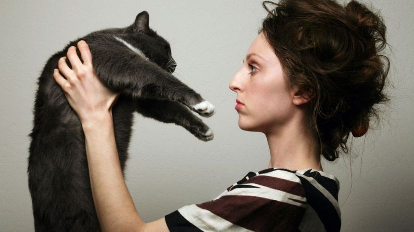 Woman with messy hair holding gray cat