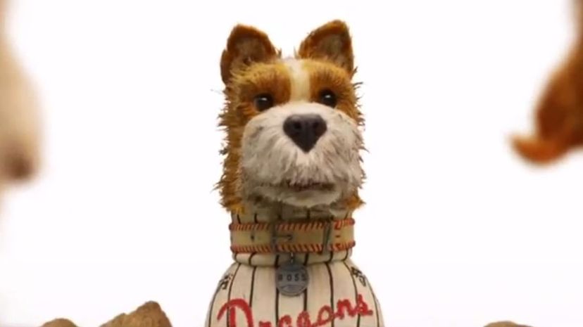 Isle of Dogs 2018 - Boss