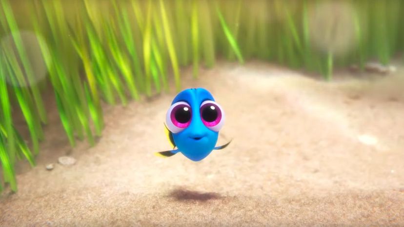 Finding Dory - B