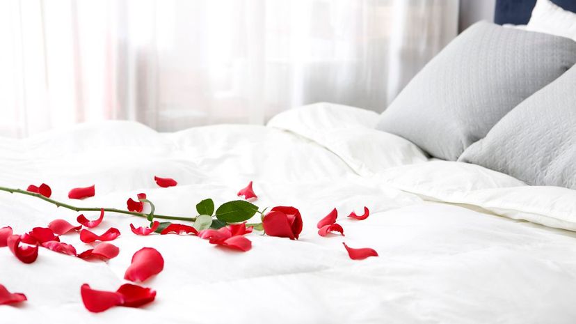Rose petals on bed
