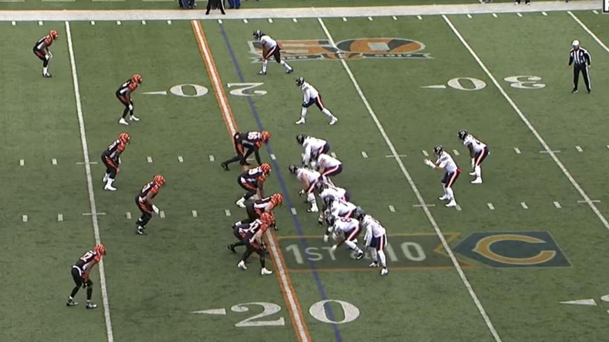 Only a True Sports Fan Can Name All of These Team Rivalries. Can You? Zoo