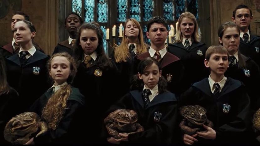 Harry Potter Toads