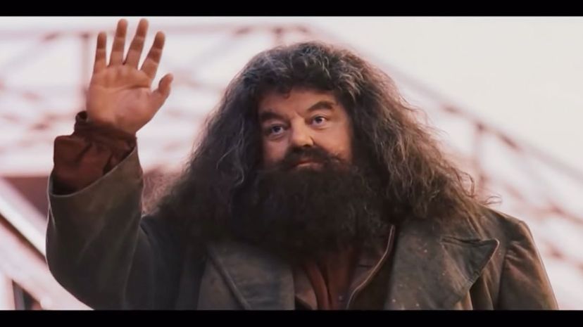 21 hagrid