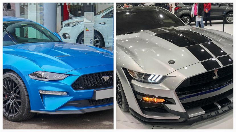 Q3-2019 Ford Mustang GT _ 2020 Ford Mustang Shelby GT500