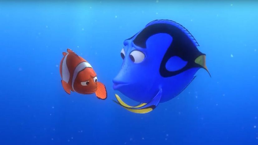 Marlin and Dory