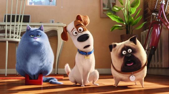 Which Secret Life of Pets character are you?