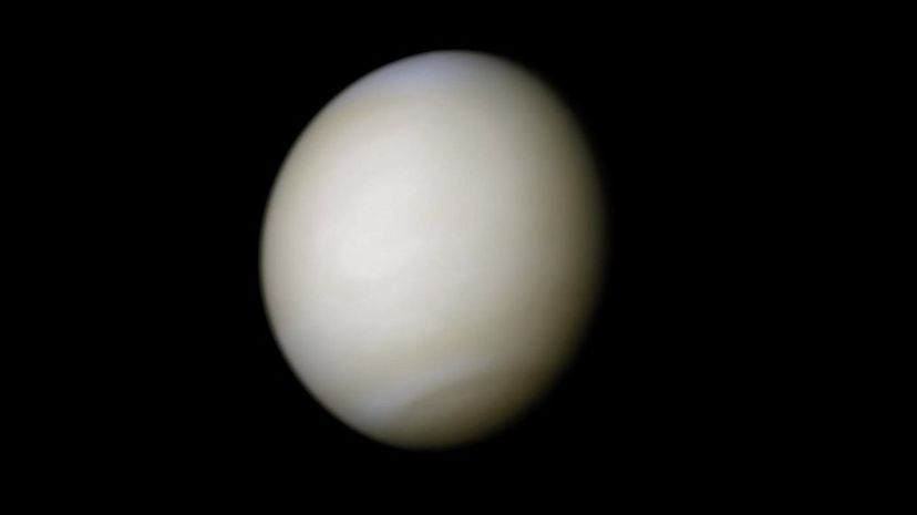 Venus