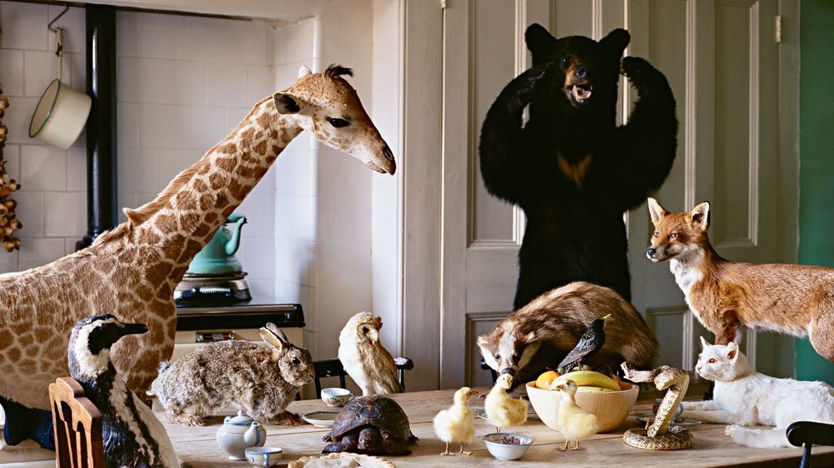 Which Exotic Pet Is Your Spirit Animal? Zoo