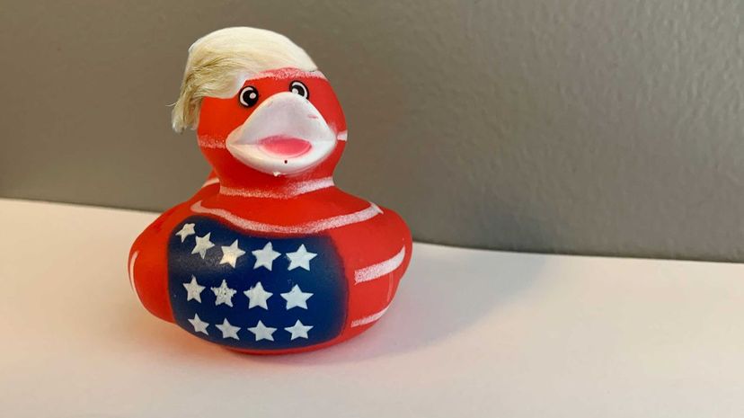 Trump Duck