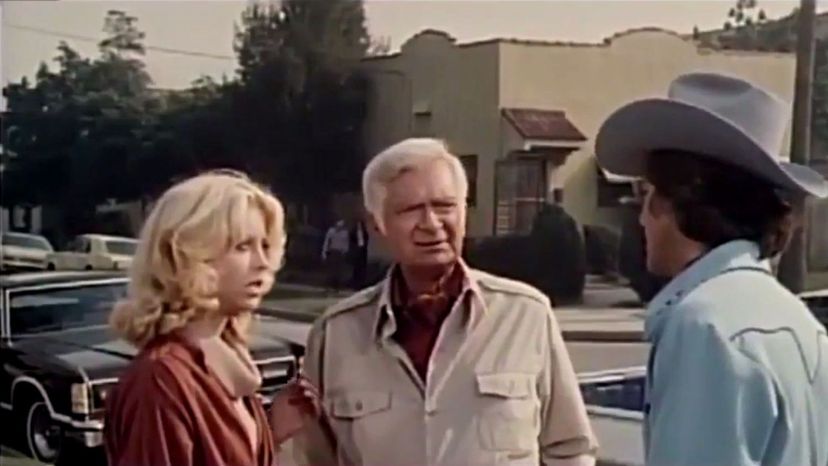 Barnaby Jones 1973