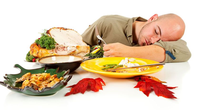 7 thanksgiving asleep GettyImages-512038381