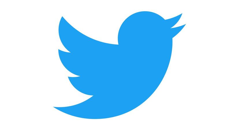 Twitter bird logo