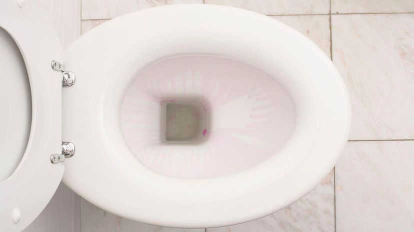 11 toilet bowl GettyImages-80620015