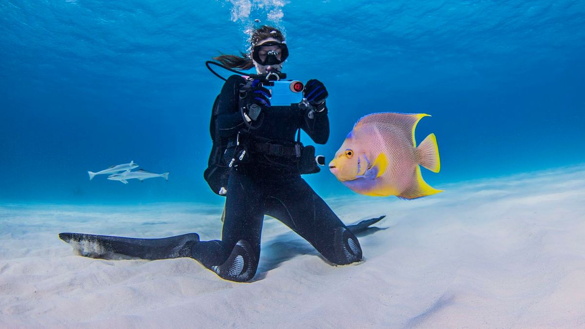 Can You Pass a Scuba Diving Certification Quiz? HowStuffWorks