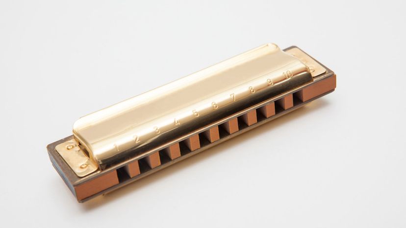 harmonica