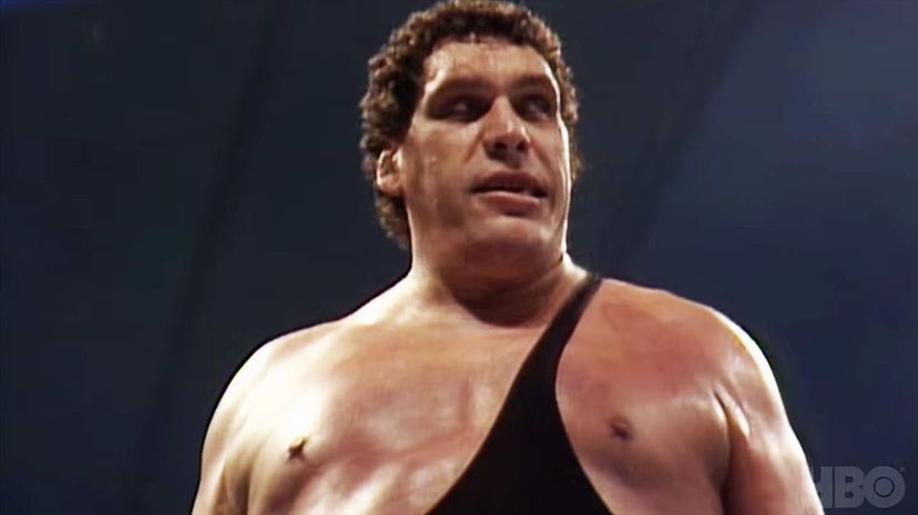 Andre the Giant