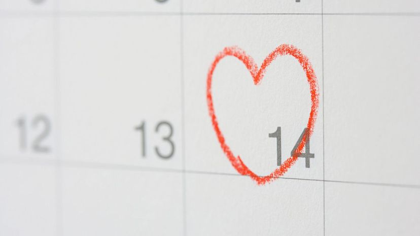 Q19 Holidays