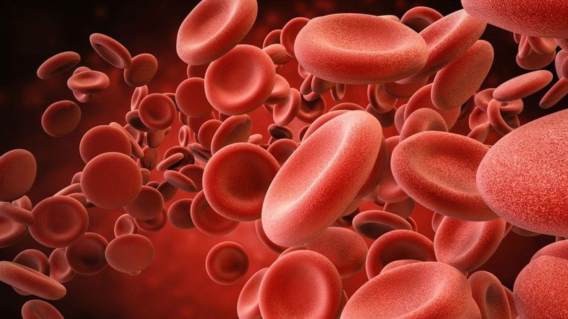 Can We Guess Your Blood Type?