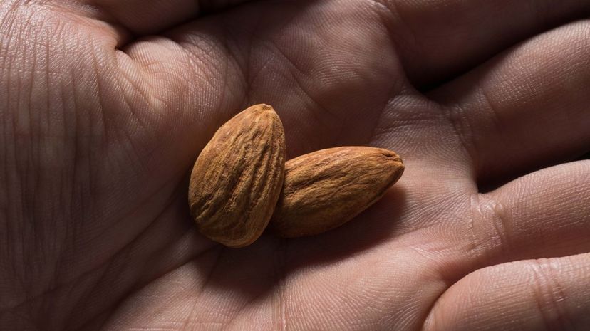bitter almonds