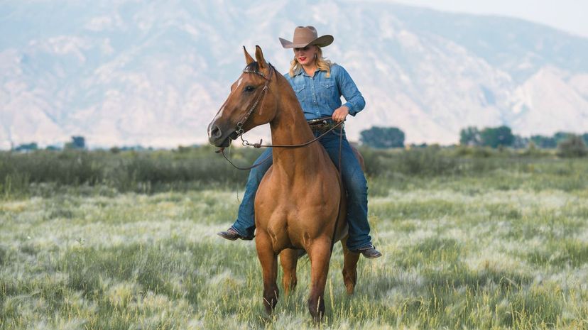 What Type of Horse Would You Ride as a Cowgirl?