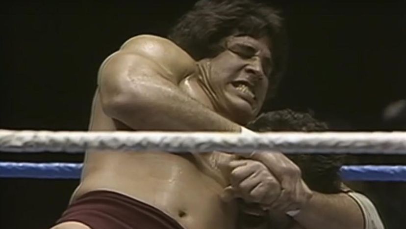 Can You Name These 1980s Wrestling Stars from a One Sentence Description?