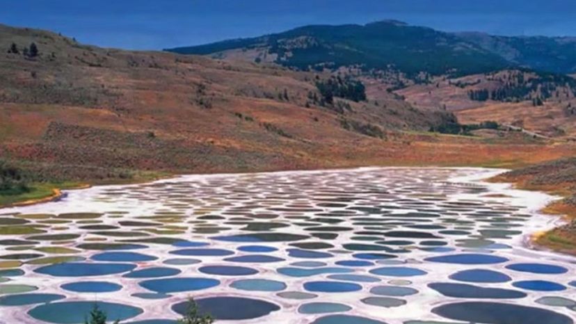 Spotted Lake