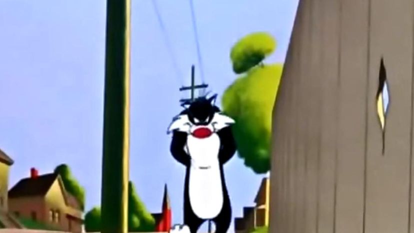 Sylvester the Cat