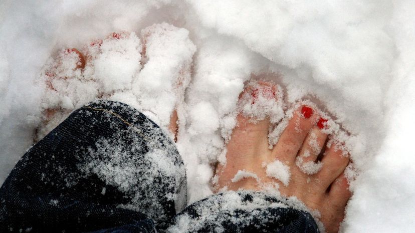 Q7 - Snow Toes