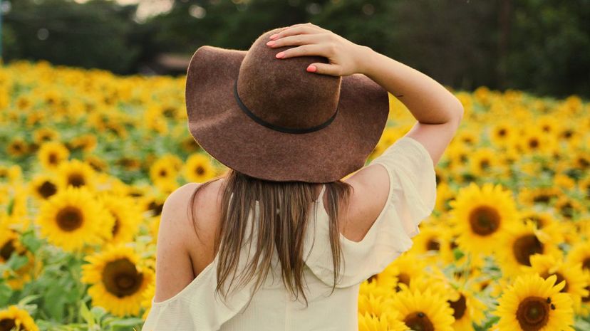 Hat in Sunflower Field