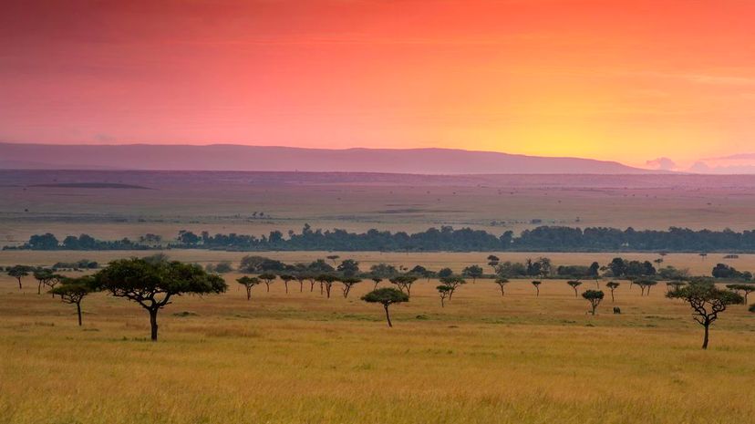 Maasai Mara