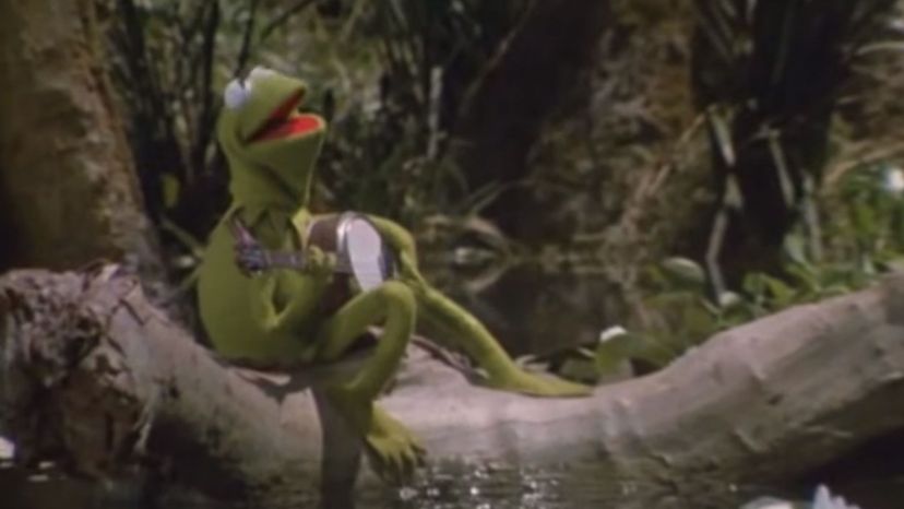 Kermit the Frog - Sesame Street