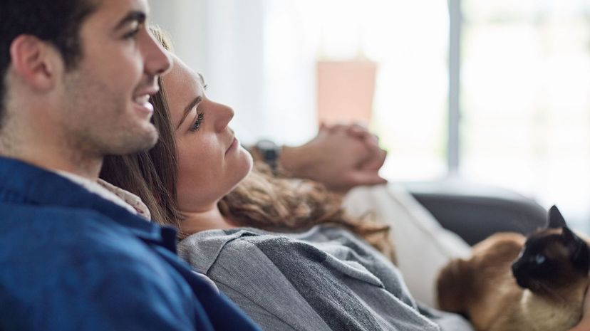 Couple relaxing on the sofa at home with their cat