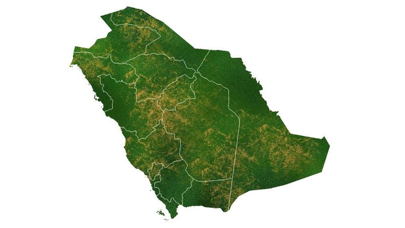 Saudi Arabia