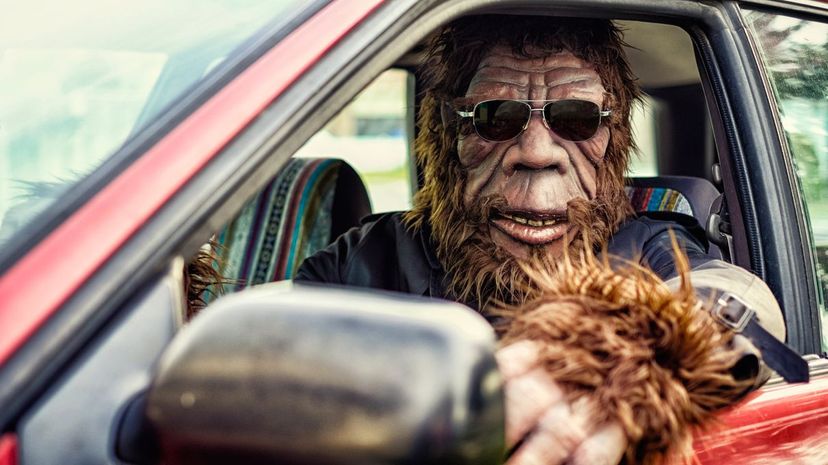 Bigfoot driving