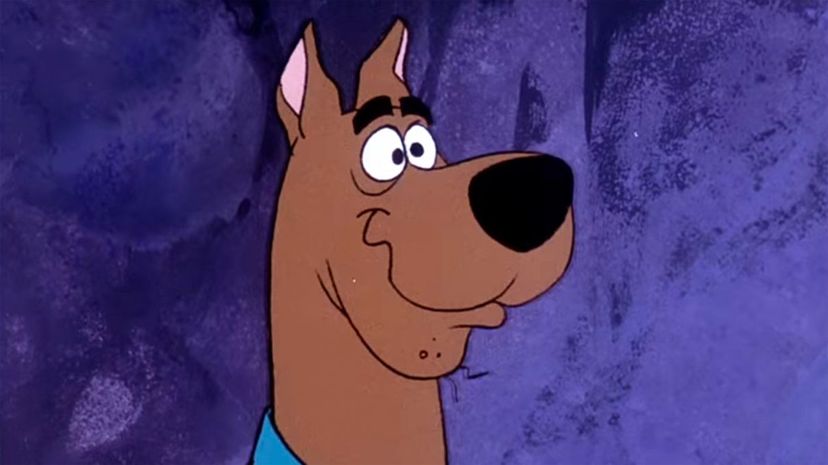Scooby-Doo