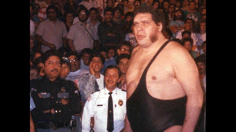 Andre the Giant