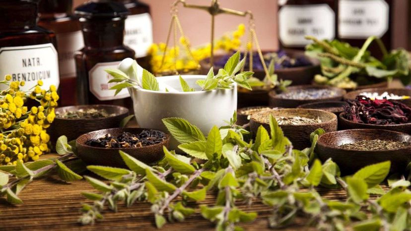 The History Of Natural Medicine! Quiz